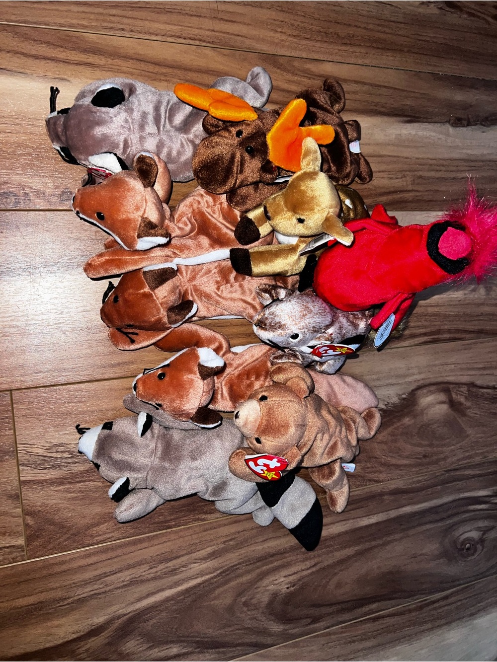 Ty North American Wildlife bundle